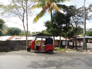 1546207_10204897782897694_8546777223696508236_n